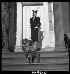 Black and white photograph featuring Barbara Cushing Mortimer on the steps of her home. She stansds in front of her front door wearing all black and holding three of her bulldogs on a leash.