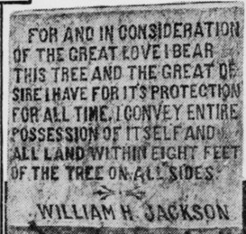 Newspaper clipping with visible text for an in consideration of the great love i bear this tree and the great desire i have for its protection for all time. I convey entire possessions of itself and all land within eight feet of the tree on all sides. 