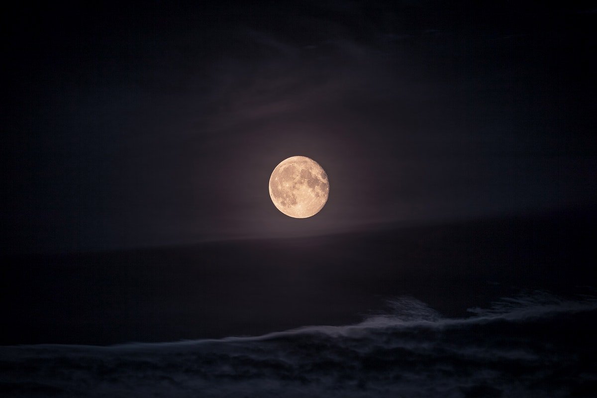 Good Night, Moon