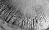 PIA26329: Gullies in the Depths of Hellas