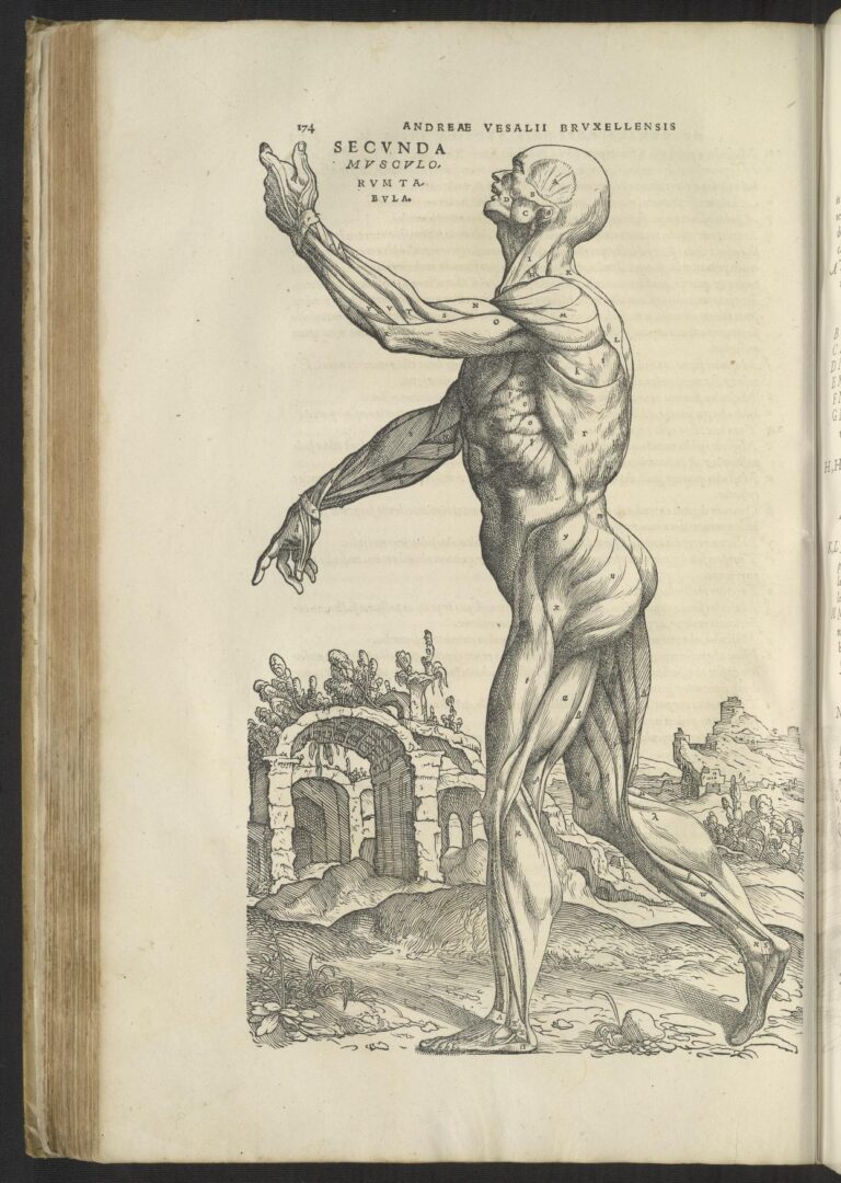 The First “Modern” Medical Book