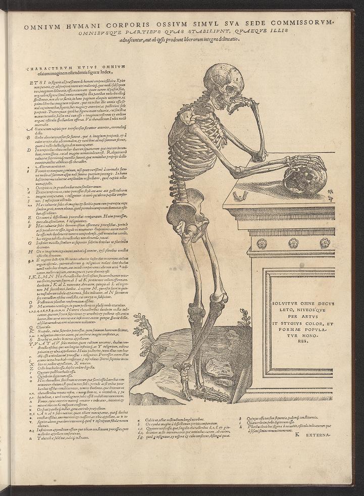 Thinking skeleton from Vesalius Epitome