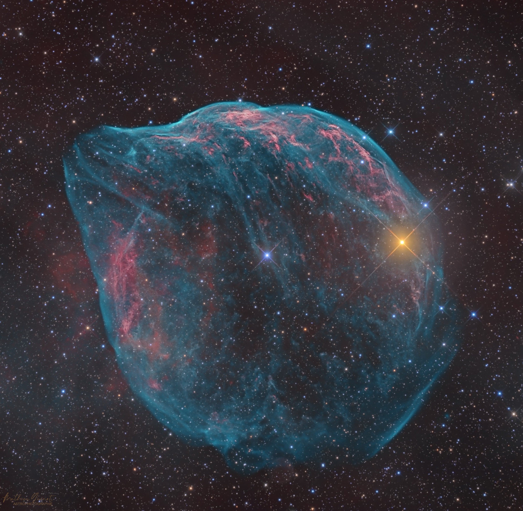 SH2-308: The Dolphin Head Nebula