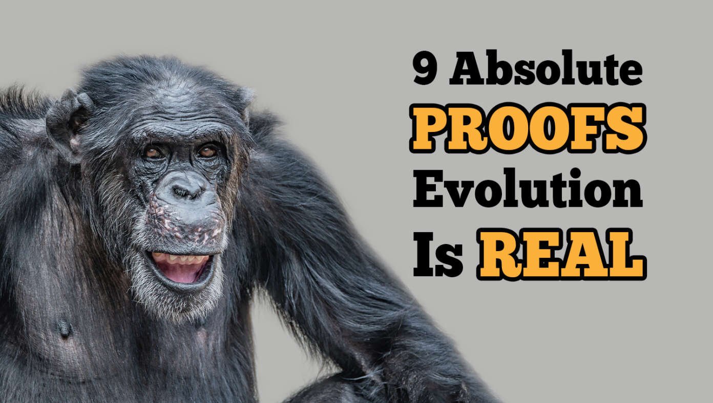 9 Absolute Proofs Evolution Is Real #BabylonBee 9 Absolute Proofs Evolution Is Real #BabylonBee