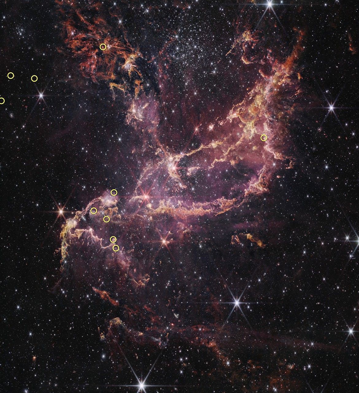 Chandra and Webb Spy a Cosmic Wreath