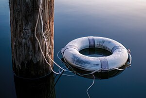 Picture of the day





Frost-covered lifebuoy attached to a dolphin, captured on Lake Siskiyou in Northern California
 #ImageOfTheDay