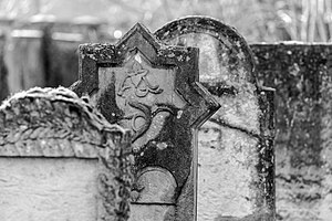 Picture of the day





Jewish cemetery in Dülmen, North Rhine-Westphalia, Germany
 #ImageOfTheDay