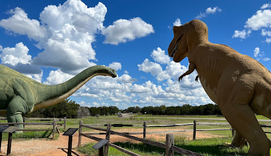 Best of 2024: Dinosaur Prepared to Safely Watch Solar Eclipse