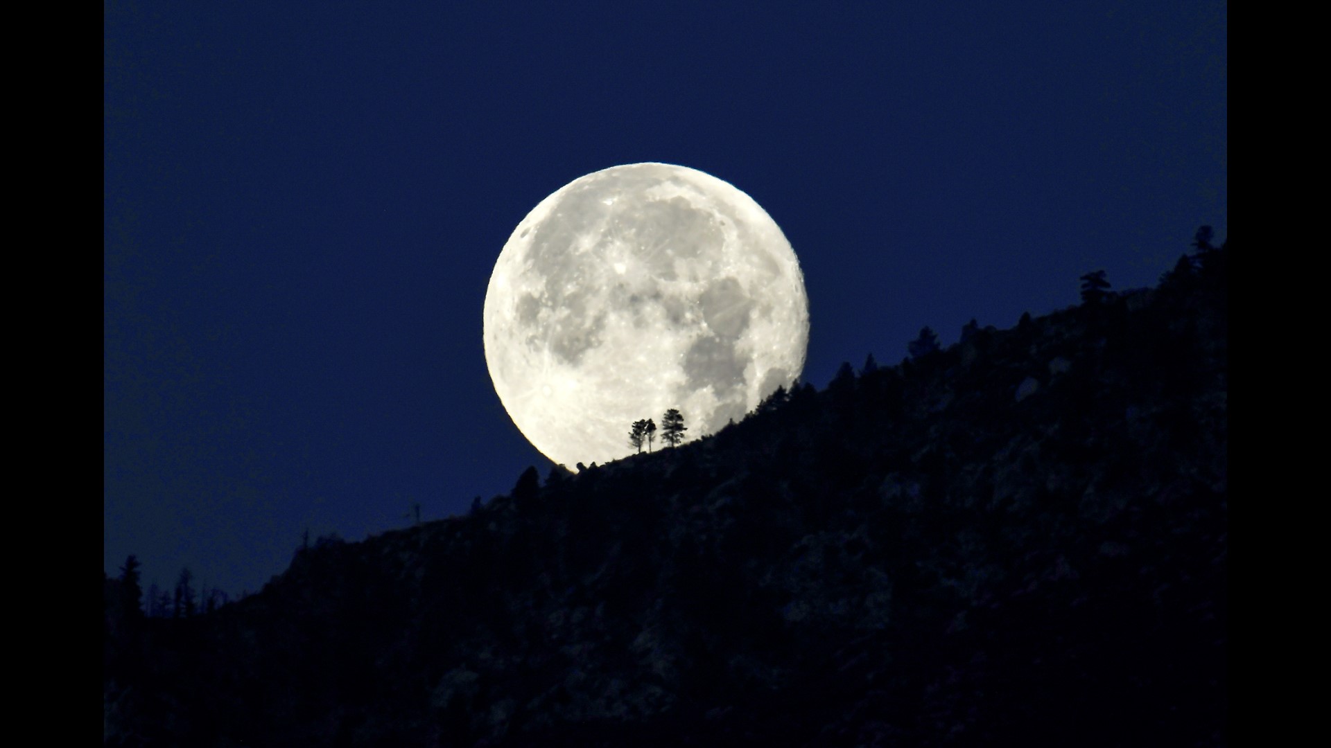 Wolf Moon in Washington