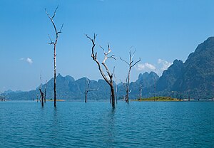 Picture of the day





Old submerged trees on Cheow Lan Lake. Blue sky and eternal summer in Surat Thani, Thailand. Remnants of the old Shorea Dipterocarp forest.
 #ImageOfTheDay