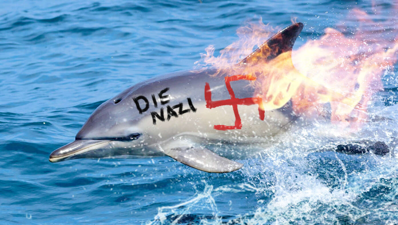 Democrats Begin Spray-Painting Swastikas On Dolphins #BabylonBee