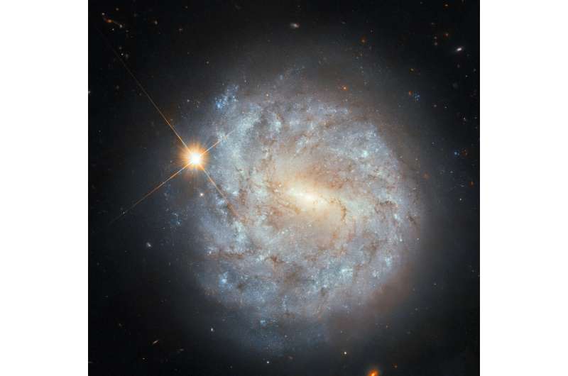 Hubble Sees a Spiral and a Star