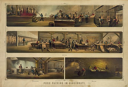 Picture of the day





Chromo-lithograph of the cartoons exhibited by the Cincinnati Pork Packers’ Association, at the 1873 Vienna World’s Fair. Incorporated on this day 205 years ago, Cincinnati was also known as “Porkopolis”; this nickname came from the city’s large pork interests.
 #ImageOfTheDay