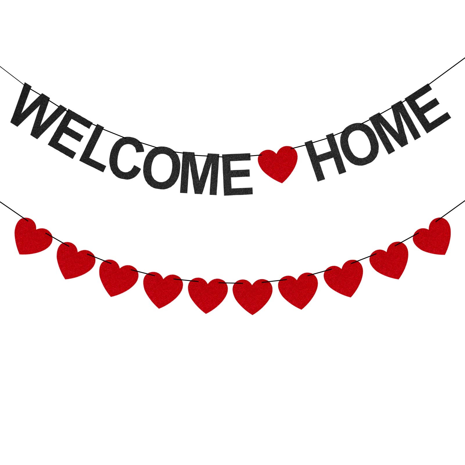 Welcome Home, Crew-9!