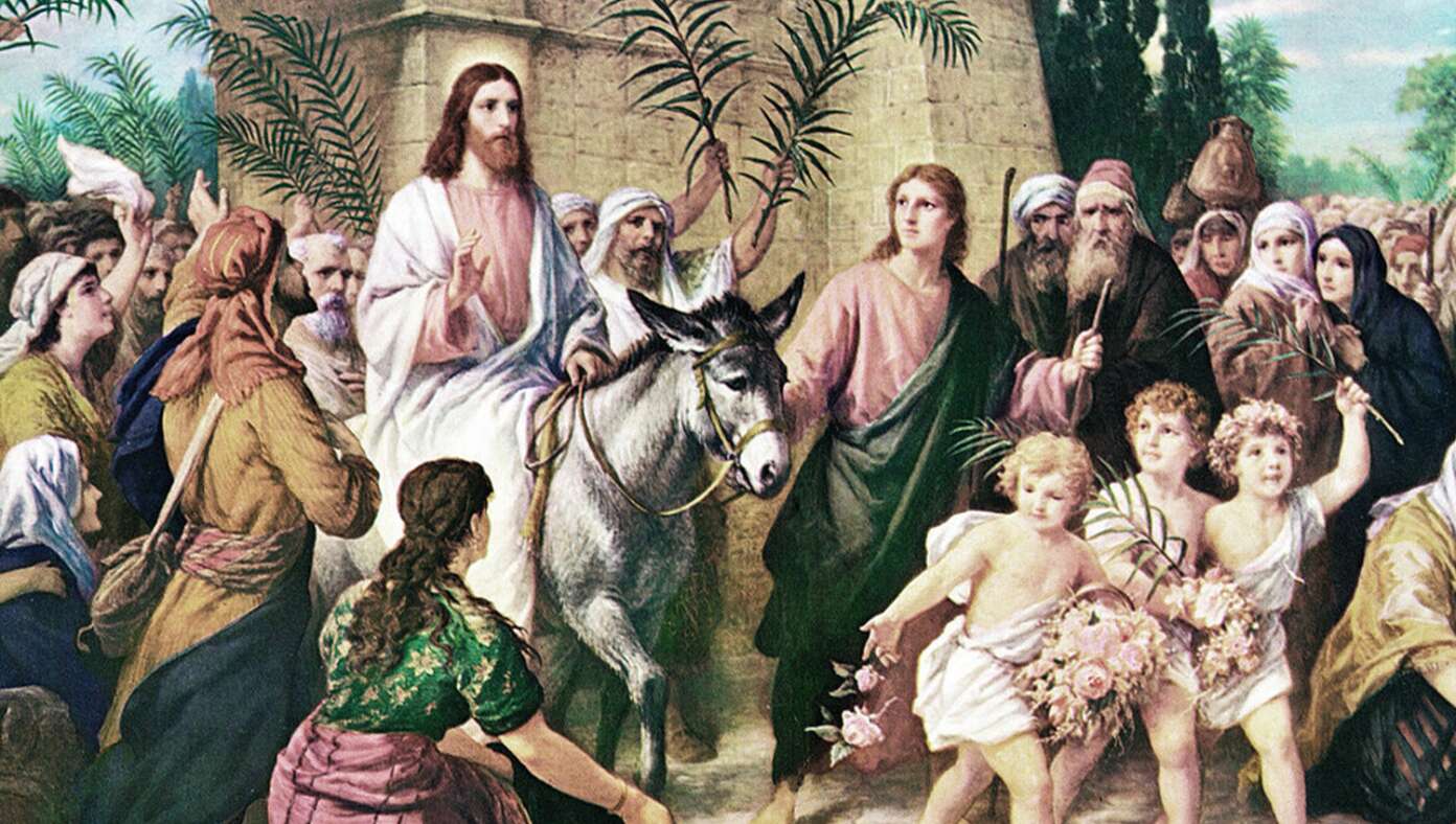 Donkey Entering Jerusalem Glad To Be Finally Getting Recognition He Deserves #BabylonBee