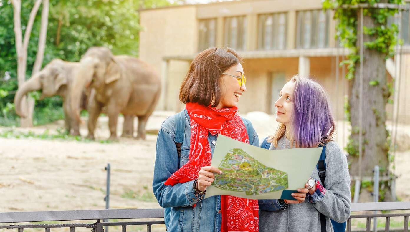 Nation’s Lesbians Announce Plan To Go To The Zoo Today #BabylonBee