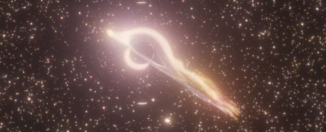 Rare Type of Black Hole Snacks on Star