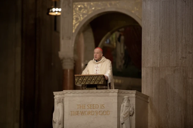 Cardinal McElroy calls for solidarity with immigrants lacking legal status