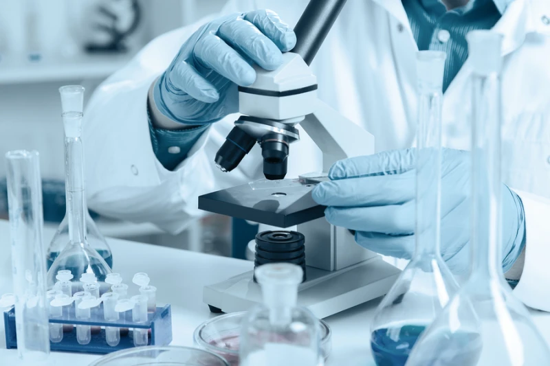 Federal government cancels grants for fetal human tissue research
