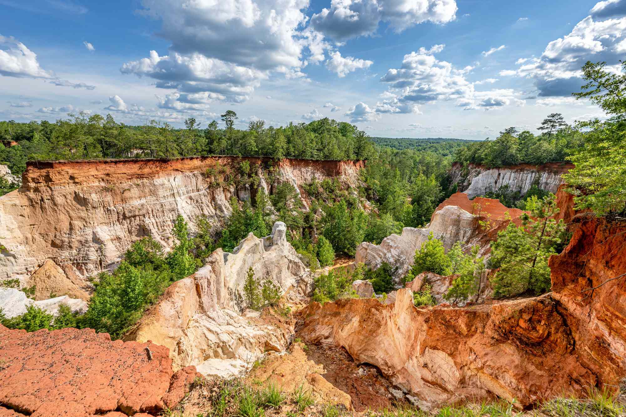 Georgia’s ‘Little Grand Canyon’ Was Formed by Accident—and It Has 150-foot Drops and Scenic Hiking