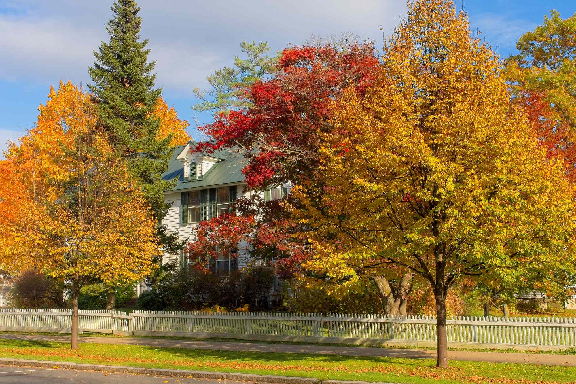 I’ve Lived on the East Coast My Whole Life—and I Think This Charming Small Town Is the Best Place to See Fall Foliage