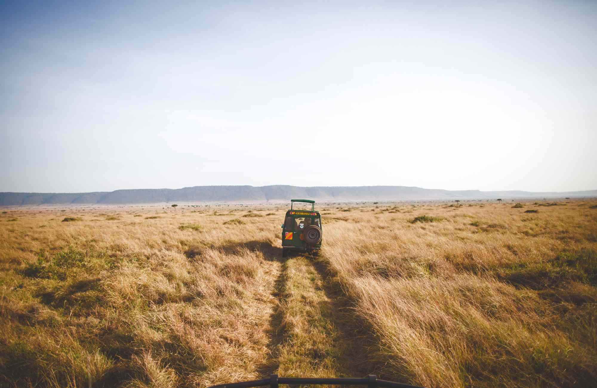 Kenya and Tanzania Are Dream Safari Destinations—Here’s How to Pick the Right One, According to a Travel Advisor
