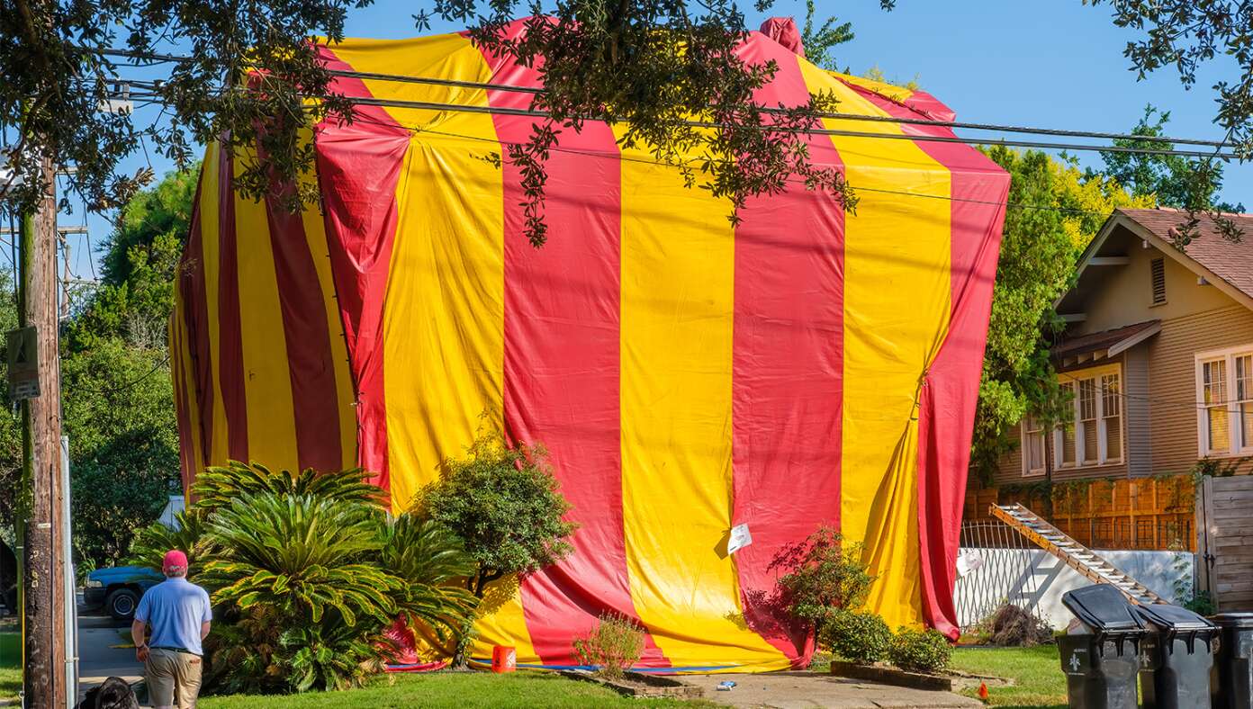 Termites Excited As Cool Tent Placed Over House #BabylonBee