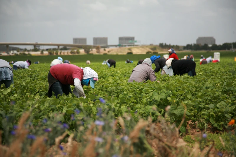 The Catholic Church has a lot to say about Labor Day — why?