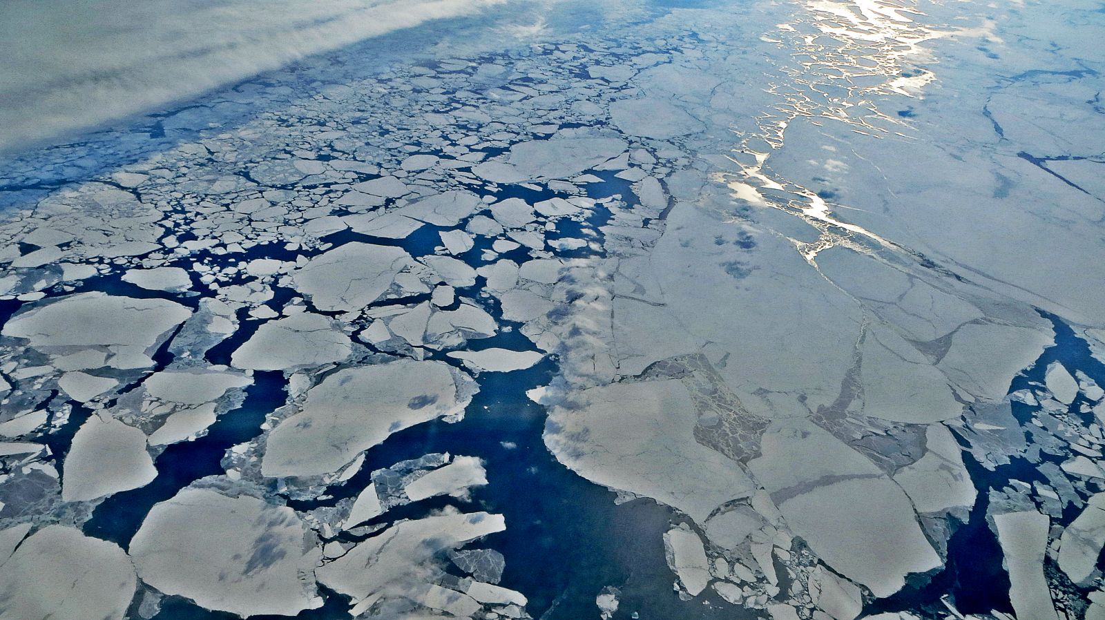Thinning Arctic Sea Ice