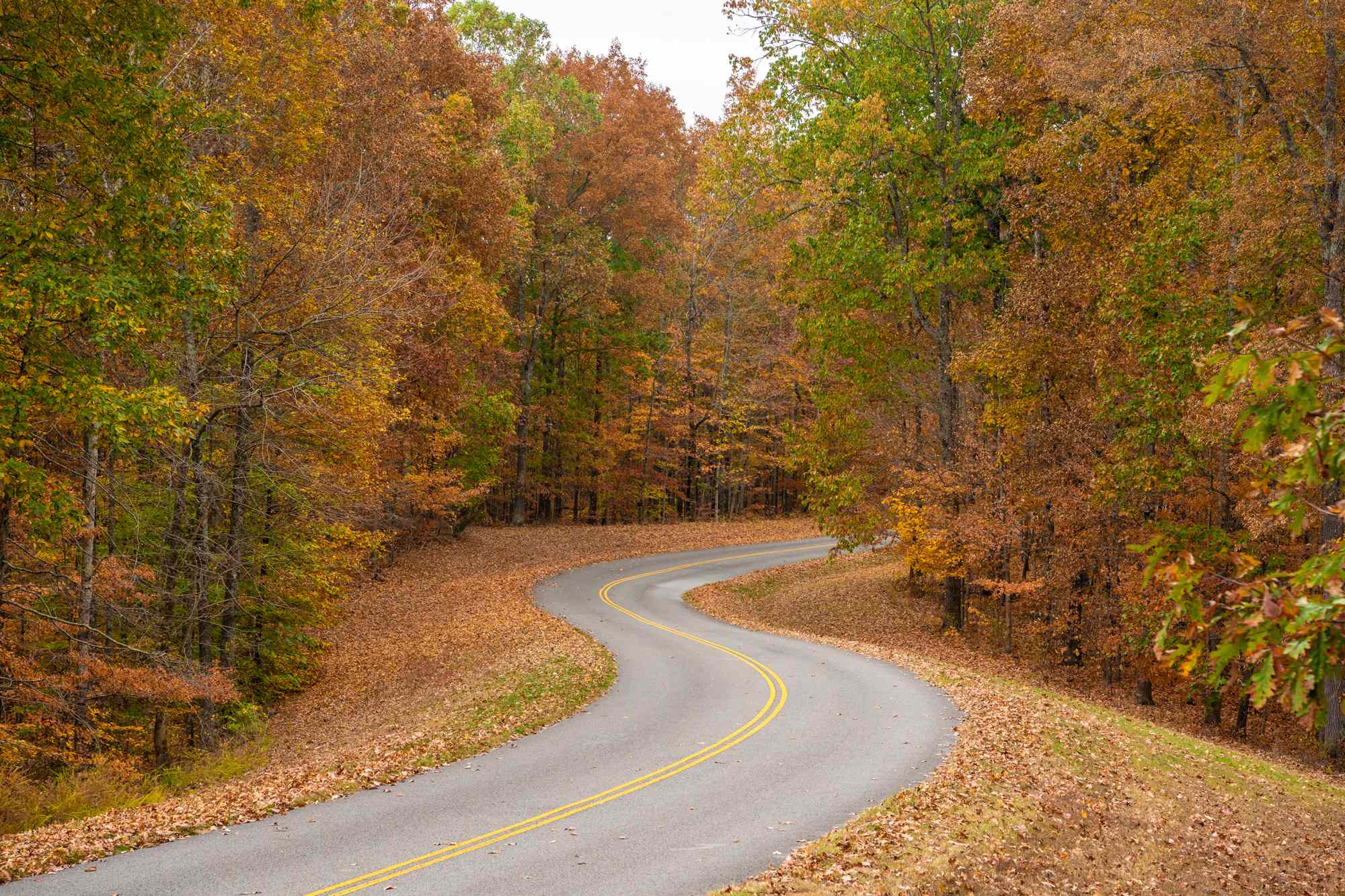 This 444-mile Scenic Parkway Has Some of the South’s Best Fall Foliage—and It Has No Billboards or Stoplights