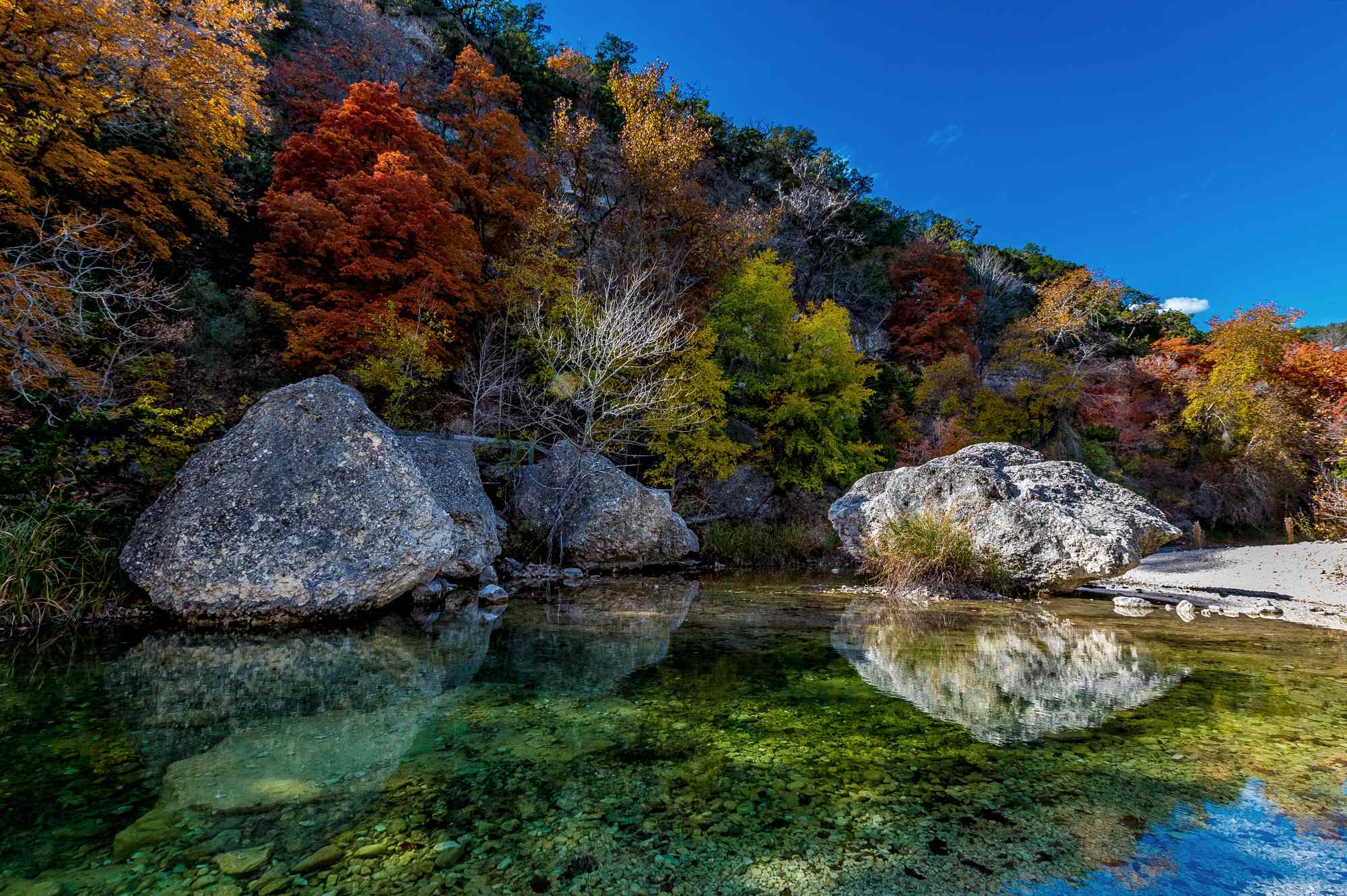 This State Park Famous for Its ‘Lost’ Trees Is the Best Place to See Fall Foliage in Texas—and Peak Colors Last Into November