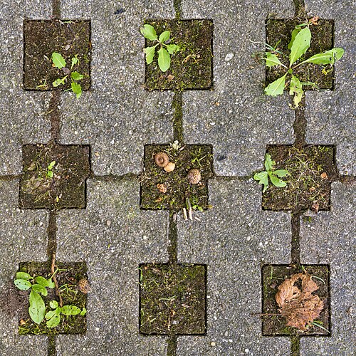 Picture of the day





Concrete paving with gaps in the parking lot of the city cemetery of Waldenbuch, Germany
 #ImageOfTheDay