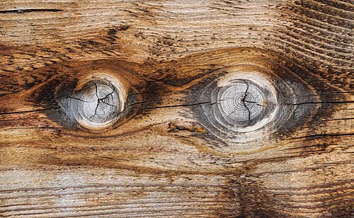 Picture of the day
Two wood knots which resemble two eyes, a simple example of pareidolia. Detail of a wooden fence in Beilstein, Germany.
#ImageOfTheDay Picture of the day
Two wood knots which resemble two eyes, a simple example of pareidolia. Detail of a wooden fence in Beilstein, Germany.
#ImageOfTheDay