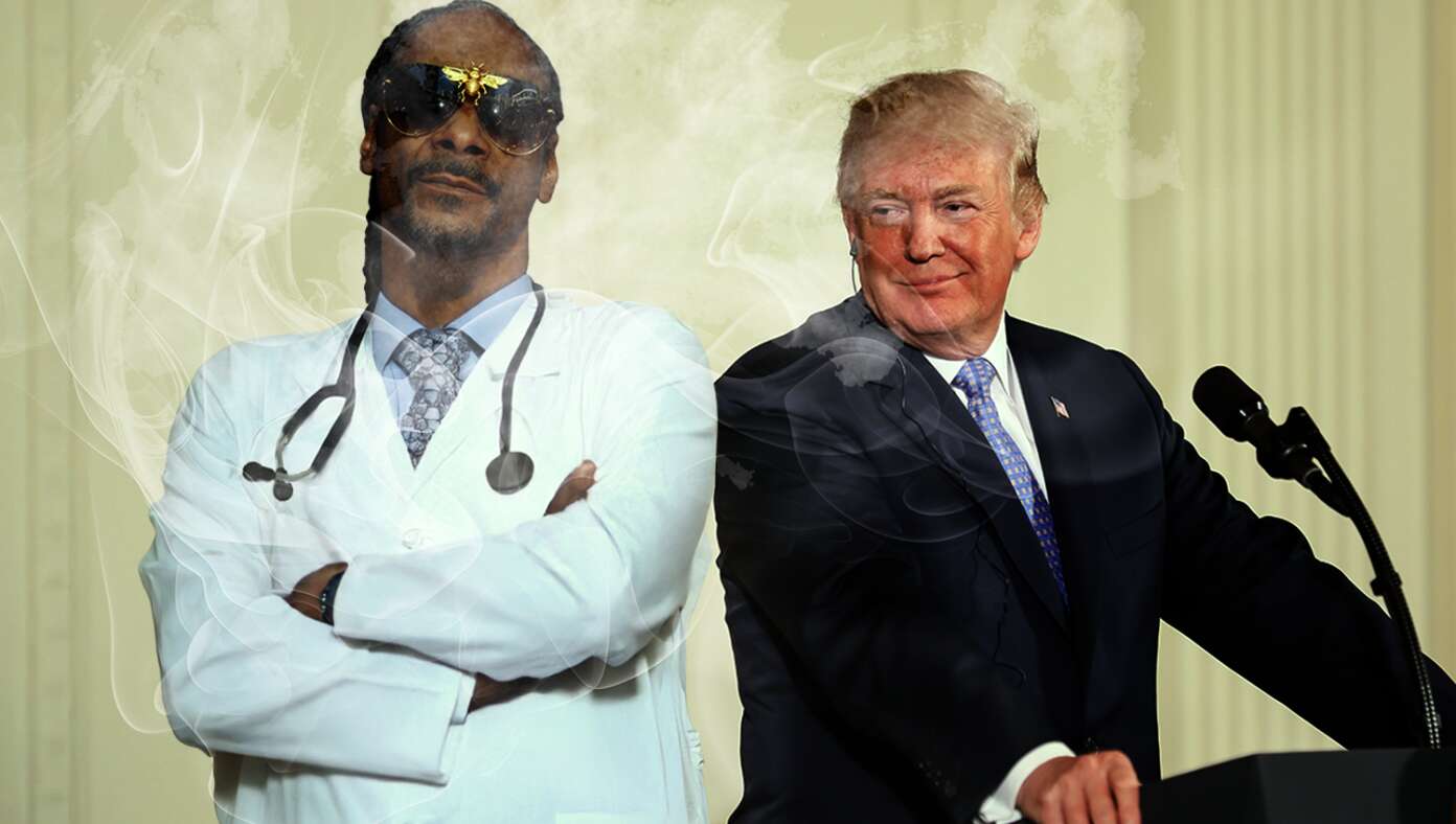 Trump Eases Marijuana Restrictions After Reviewing Extensive Research By Dr. S. Dogg #BabylonBee – WASHINGTON, D.C. — President Donald Trump signed an executive order on Thursday softening the federal stance on marijuana after extensively reviewing notes from a "Dr. S. Dogg." Trump Eases Marijuana Restrictions After Reviewing Extensive Research By Dr. S. Dogg #BabylonBee – WASHINGTON, D.C. — President Donald Trump signed an executive order on Thursday softening the federal stance on marijuana after extensively reviewing notes from a "Dr. S. Dogg."