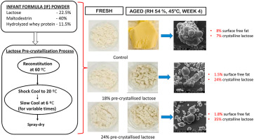 Crystals Grown in Space - This image of lysozyme crystals grown aboard the International Space Station was taken after the crystals returned to Earth in April 2024. Lysozyme is a protein found in bodily fluids like tears, saliva, and milk. It is used as a control compound to demonstrate well-formed crystals.