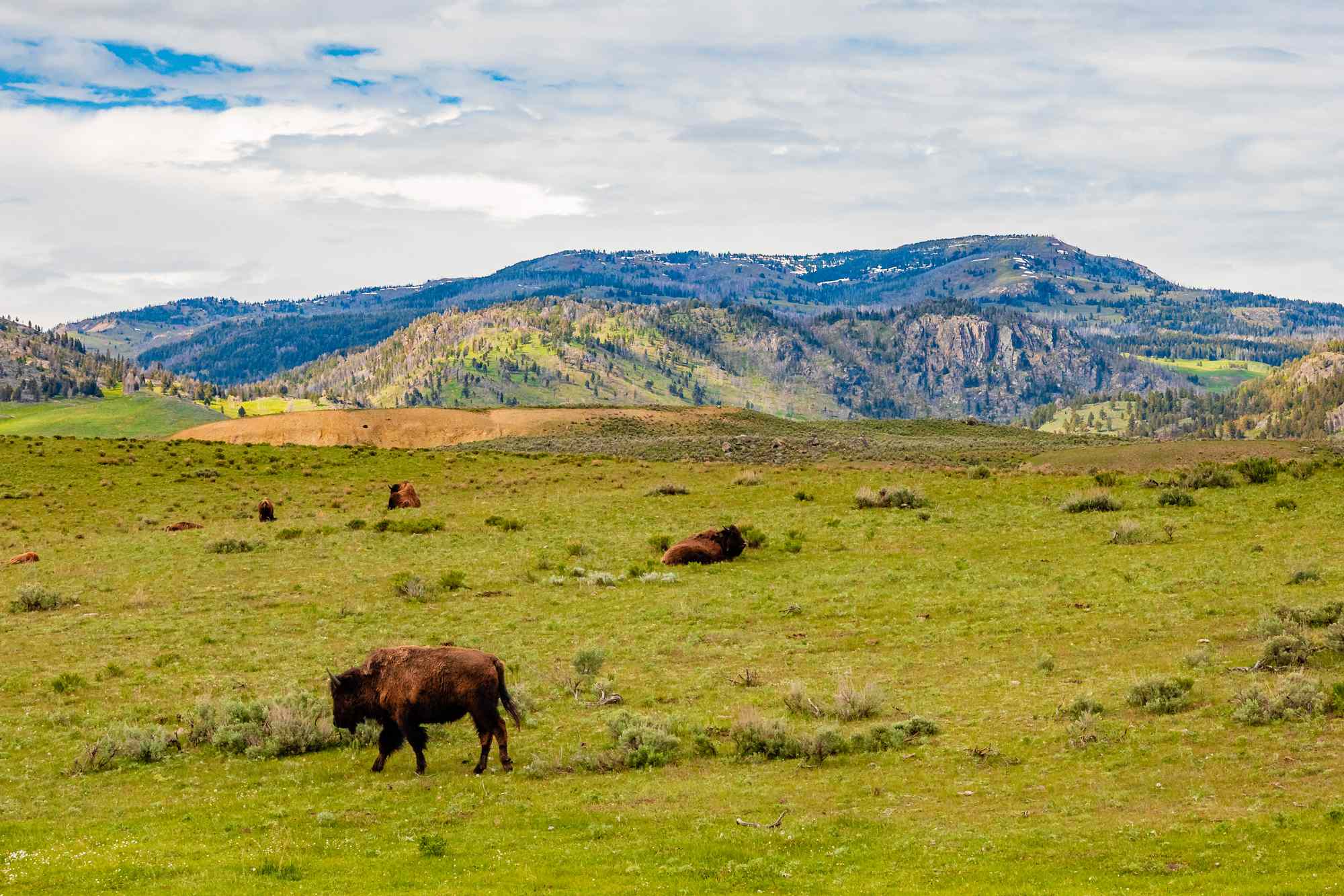 We Asked 5 Travel Experts to Recommend the Best National Park for First-timers—These 2 Iconic Parks Came Out on Top #Travel It’s hard not to be wowed by these national park stunners.