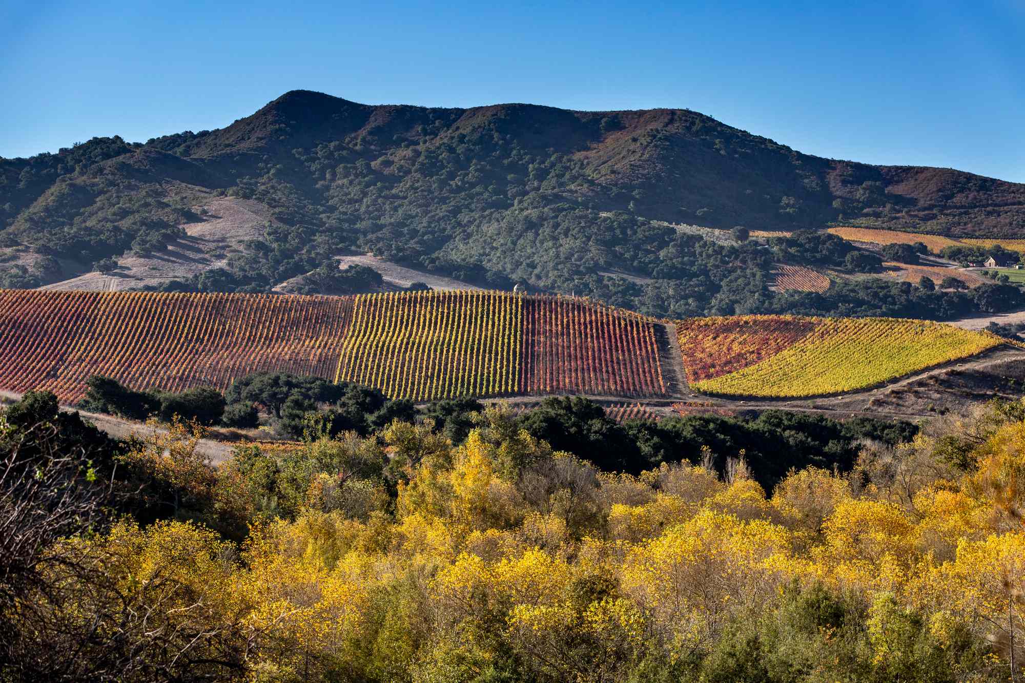 I’ve Lived in California for 20 Years—and This Small Town Is One of the Most Underrated in the Golden State #Travel Buellton, California, is home to the longest zip line in the state and a movie-famous motel.