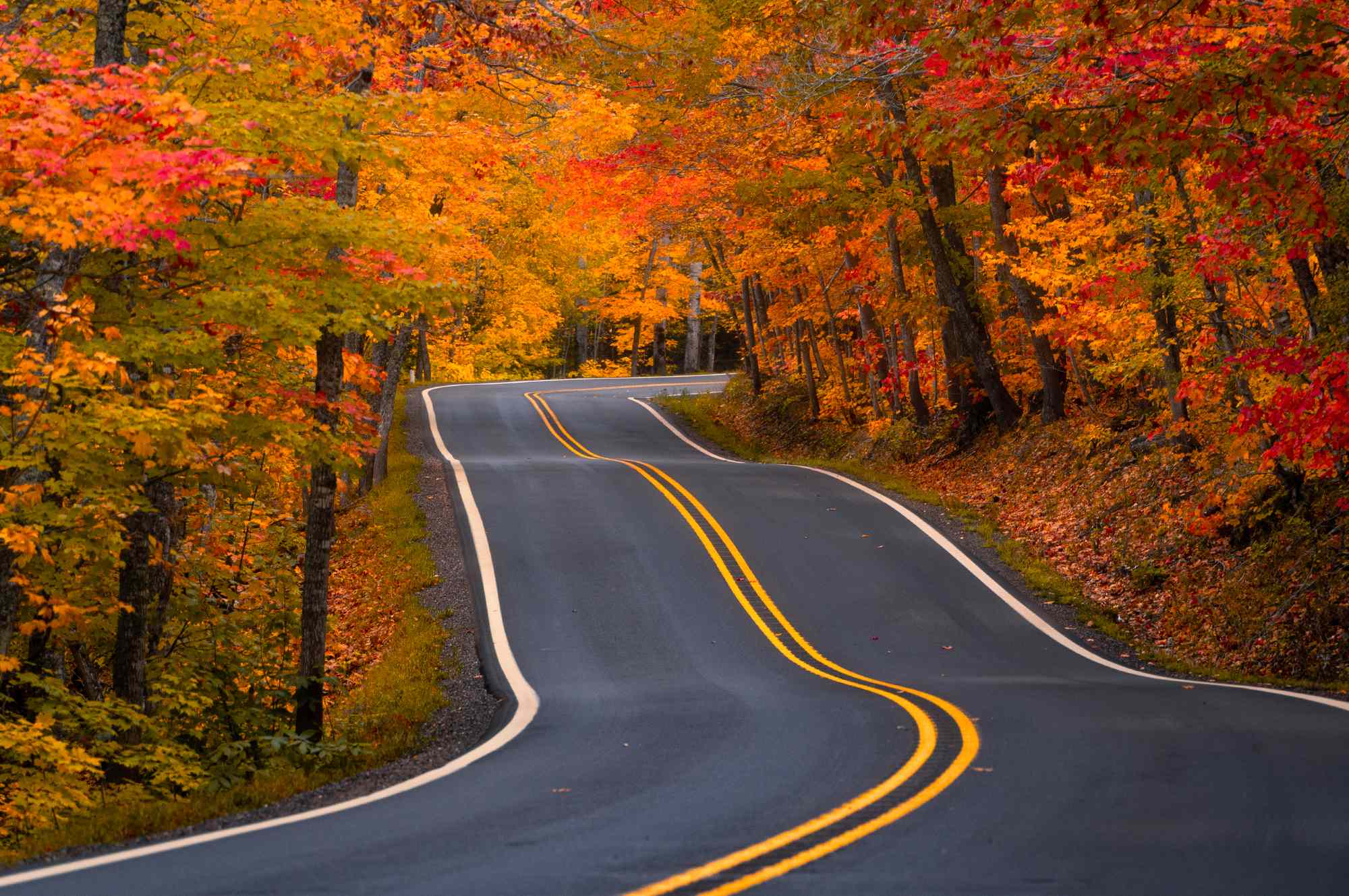 This Midwestern State Has Some of the Best Fall Foliage in the U.S., According to Travel Experts #Travel There’s nothing quite like Michigan charm in the fall. This Midwestern State Has Some of the Best Fall Foliage in the U.S., According to Travel Experts #Travel There’s nothing quite like Michigan charm in the fall.