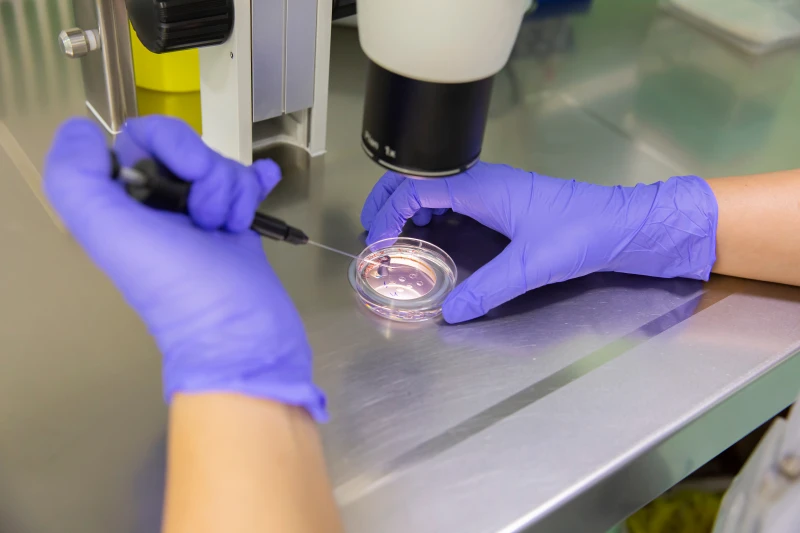 Trump administration expands IVF and other fertility treatment coverage #Catholic 
 
 The Trump administration will expand access to in vitro fertilization drugs and procedures. / Credit: sejianni/Shutterstock

CNA Staff, Oct 16, 2025 / 18:53 pm (CNA).
President Donald Trump is expanding access to in vitro fertilization and other fertility treatments by partnering with pharmaceutical companies and expanding insurance options. According to a White House announcement on Oct. 16, the Trump administration is working with major pharmaceutical companies to bring IVF drugs to the U.S. at lower prices. The administration is also expanding insurance coverage for fertility care.The agreement with leading pharmaceutical group EMD Serono will make IVF drugs available “at very, very heavily reduced prices — prices that you won’t even believe,” Trump said on Thursday in a livestream from the Oval Office. According to the announcement, women who buy directly from TrumpRx.gov, a website that will launch in January 2026, will get a discount equivalent to 796% of the negotiated price for GONAL-F, a widely used fertility drug.The FDA will also be expediting its review of an IVF drug that is not yet available in the U.S., which Trump said “would directly compete against a much more expensive option that currently has a monopoly in the American market, and this will bring down costs very significantly.”In addition, the Trump administration will enable employers to offer separate plans for fertility issues, comparable to the standard life, dental, and vision plans typically available from employers.“This will make all fertility care, including IVF, far more affordable and accessible,” Trump said. “And by providing coverage at every step of the way, it will reduce the number of people who ultimately need to resort to IVF, because couples will be able to identify and address problems early.” “The result will be healthier pregnancies, healthier babies, and many more beautiful American children,” Trump continued. These fertility benefits will include both IVF and other fertility treatments “that address the root causes of infertility,” according to the Oct. 16 announcement. “There’s no deeper happiness and joy [than] raising children, and now millions of Americans struggling with infertility will have a new chance to share the greatest experience of them all,” Trump said. IVF is a fertility treatment opposed by the Catholic Church in which doctors fuse sperm and eggs in a laboratory to create human embryos and implant them in the mother’s womb. To maximize efficiency, doctors create excess human embryos and freeze them. Undesired embryos are routinely destroyed or used in scientific research.Lila Rose, a devout Catholic and founder of the pro-life group Live Action, condemned the administration’s action, noting that “IVF kills more babies than abortion.”“Millions of embryos are frozen, discarded, or destroyed,” Rose said in a post on X on Oct. 16.“Only 7% of embryos created survive to birth,” she said. IVF is “not a solution to fertility struggles.”      In response to Trump’s announcement, the March for Life celebrated the White House’s focus on children and fertility, while cautioning the administration to protect human life at all its stages, even as embryos. “March for Life appreciates that President Trump has heard and is responding to so many Americans who dream of becoming parents,” the March for Life said in a statement shared with CNA. “The desire for parenthood is natural and good. Children are a blessing. Life is a gift. The White House’s announcement today is rooted in these core truths.” The March for Life noted that “every human life is precious — no matter the circumstances” and urged policymakers to protect human life. “We continue to encourage any federal government policymaking surrounding IVF to prioritize protecting human life in its earliest stages and to fully align with basic standards of medical ethics,” the statement read. The group also welcomed “the administration’s commitment to making groundbreaking advancements in restorative reproductive medicine more accessible and available to American women.”  Catholic institutes such as the Saint Paul VI Institute have pioneered a form of restorative reproductive medicine called NaProTechnology. “Naprotech” aims to discover and address the root cause of fertility issues via treatment and surgery if necessary. Some conditions that can affect fertility include endometriosis — which affects nearly 1 in 10 women — and polycystic ovarian syndrome (PCOS), the leading cause of infertility.“RRM aims to resolve rather than ignore underlying medical issues, increasing health and wellness while also restoring fertility, and responding to the beautiful desire for children while avoiding any collateral loss of human life,” March for Life stated.