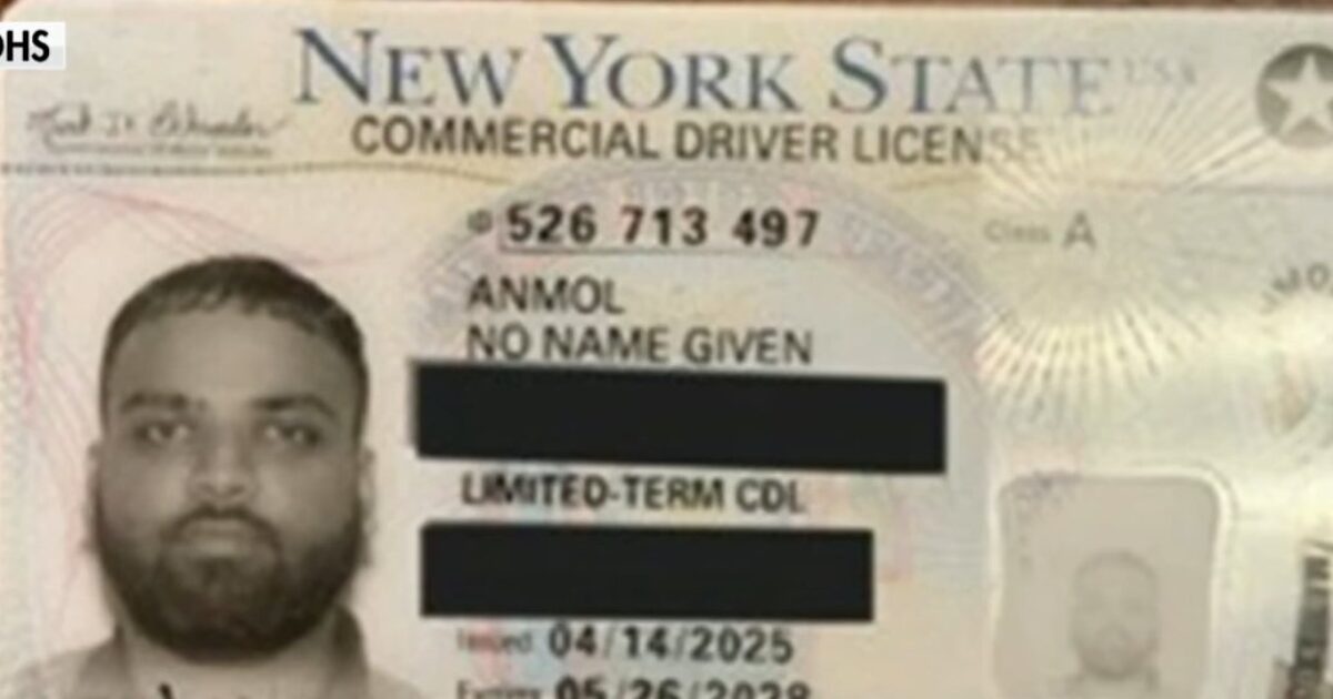 (VIDEO) ICE Director Todd Lyons Discusses Illegal Alien who was Found in Oklahoma with New York Commercial Drivers License that Read “No Name Given” –
ICE Director Todd Lyons on Friday responded to the shocking surge in ICE arrests for illegal aliens with commercial drivers’ licenses issued by Democratic states.
The post (VIDEO) ICE Director Todd Lyons Discusses Illegal Alien who was Found in Oklahoma with New York Commercial Drivers License that Read “No Name Given” appeared first on The Gateway Pundit. (VIDEO) ICE Director Todd Lyons Discusses Illegal Alien who was Found in Oklahoma with New York Commercial Drivers License that Read “No Name Given” –
ICE Director Todd Lyons on Friday responded to the shocking surge in ICE arrests for illegal aliens with commercial drivers’ licenses issued by Democratic states.
The post (VIDEO) ICE Director Todd Lyons Discusses Illegal Alien who was Found in Oklahoma with New York Commercial Drivers License that Read “No Name Given” appeared first on The Gateway Pundit.