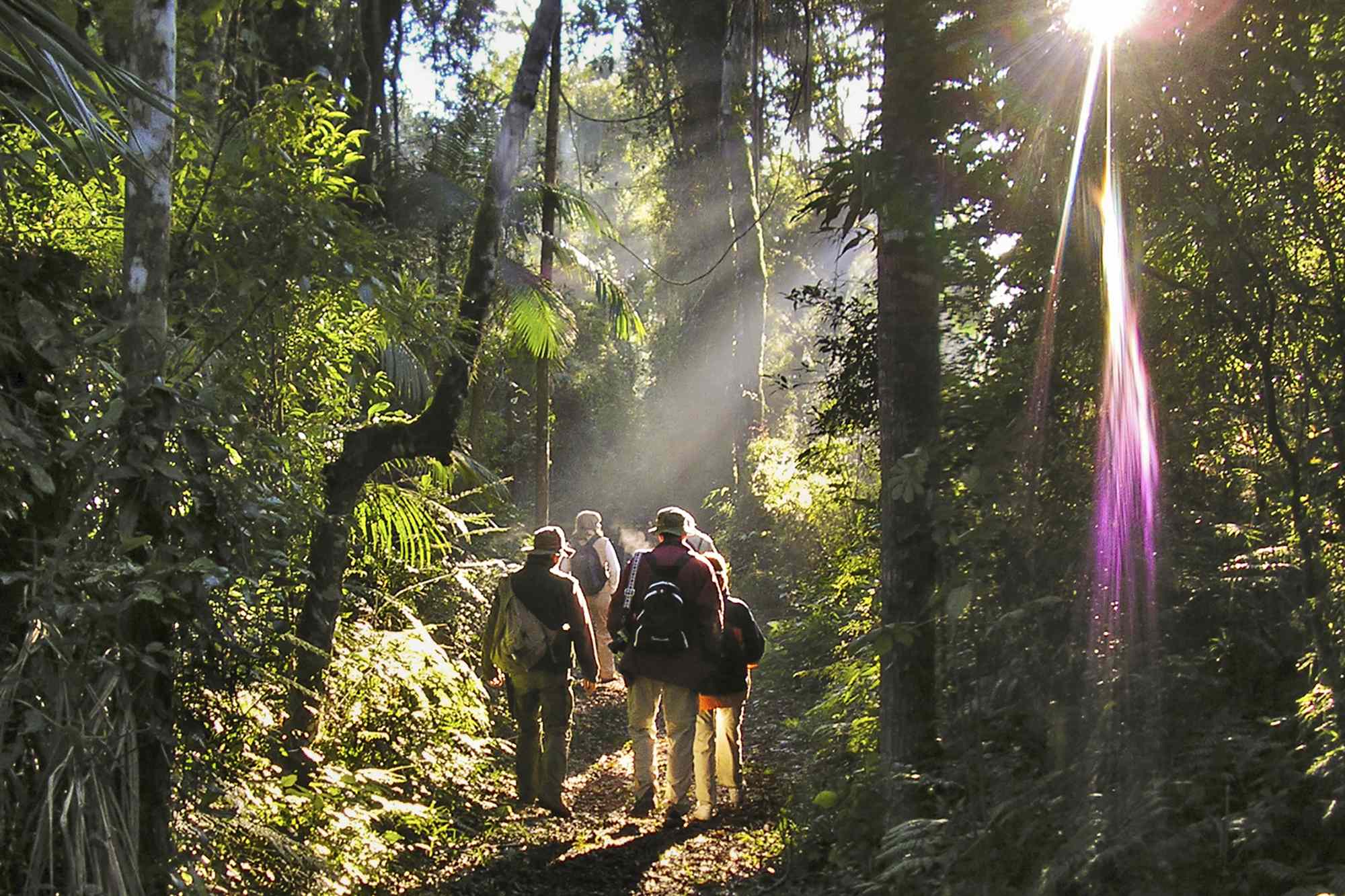 I Went Off-grid in Argentina’s Rain Forest—Here’s What I Learned From the Guaraní and Their Sacred Mate #Travel Deep in the rain forest of Argentina, I harvested yerba mate, paddled the Iguazú River, and connected with an Indigenous culture.