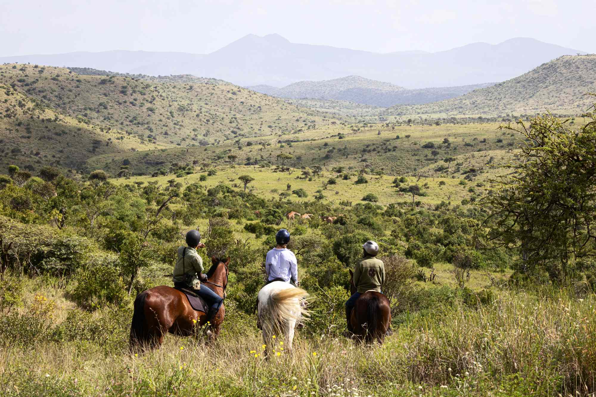 The 5 Most Underrated Safari Destinations, According to a Top Travel Advisor #Travel Check out these safari spots for minimum crowds and maximum game-viewing.