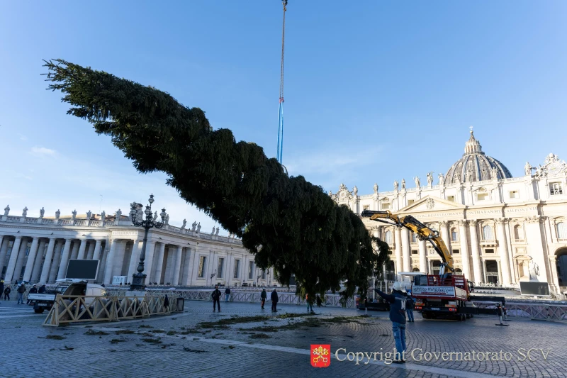 Vatican's 2025 Christmas tree installed in St. Peter's Square – #Catholic – 
 
 Workers erect the Vatican's 2025 Christmas tree in St. Peter's Square on Thursday, Nov. 27, 2025 / Credit: Vatican Media

Vatican City, Nov 27, 2025 / 14:30 pm (CNA).
A towering Christmas tree now stands in the center of St. Peter’s Square, after the spruce arrived at the Vatican on Thursday morning. The 88-foot-tall spruce tree from Italy’s Bolzano province was erected next to the ancient Egyptian obelisk which stands in the middle of the 17th century Baroque square designed by Gian Lorenzo Bernini.This year, the northern Italian municipalities of Lagundo and Ultimo gifted the Christmas tree to the Vatican. The tree was harvested in the alpine valley of Ultimo.In an Oct. 20 interview published on the Vatican State website, Bishop Ivo Muser of the Diocese of Bolzano-Bressanone said the tree reaffirms the local church’s “spiritual and emotional bond” with the pope. “It is a way of saying: ‘We are with you, Pope Leo; we wish to pray with you and share the joy of Christmas with you,” he said.“The tree thus becomes an ‘ambassador’ of our territory, our culture, and our faith — a way of bringing a small piece of our local Church into the heart of the universal Church,” he added.The Vatican’s large-scale nativity display — donated by the Italian Diocese of Nocera Inferiore-Sarno — is currently under construction behind covered fencing in St. Peter’s Square.The highly-awaited 2025 nativity scene will honor St. Alphonus Maria de Liguori, whose remains lay in the southern Italian diocese. In Italy, St. Alponsus is famous for composing the famous Italian Christmas carol “Tu scendi dalle stelle” (“From starry skies descending”).Bishop Giuseppe Giudice of the Diocese of Nocera Inferiore-Sarno said the nativity project for the Vatican, which involved a “long period of preparation,” will also showcase local Neapolitan Christmas traditions.  “I am happy to say that everyone working on the project is from our wonderful region, and the Nativity scene will be rich in elements typical of our local Agro nocerino-sarnese area,” he said in an Oct. 24 interview published by Vatican City State.  The Vatican will hold a special ceremony on Dec. 7 at 6:30 pm local time to present  the Christmas tree and nativity scene to the public. The display will be open to the public until mid-January 2026.