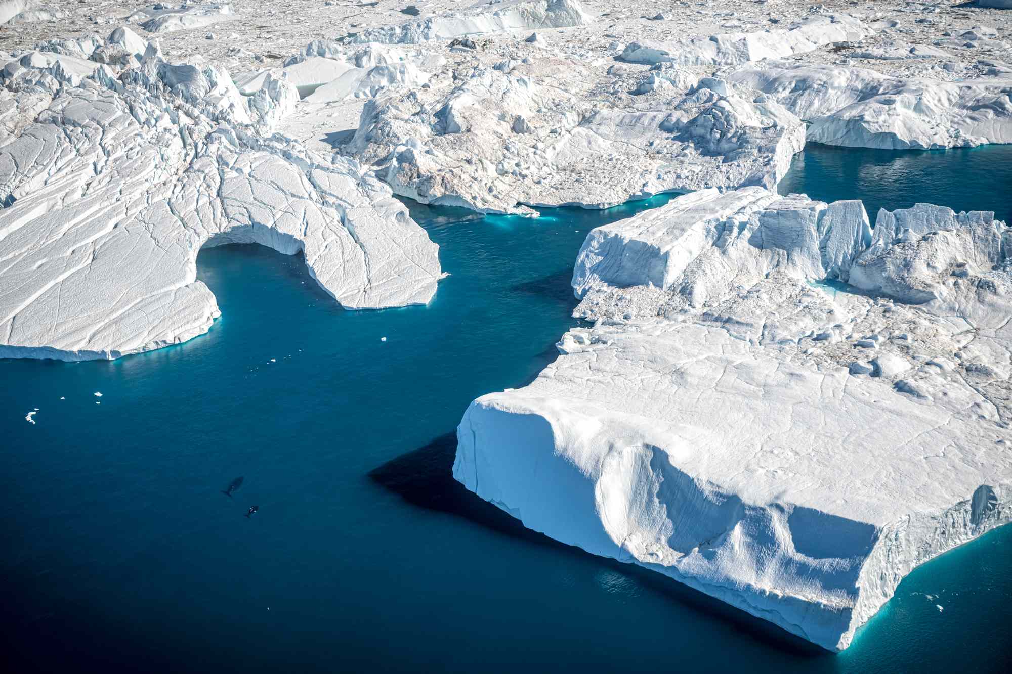 Yes, You Can Actually Visit the North Pole—Here’s Everything You Need to Know About Traveling by Ship, Skis, or Dog Sled #Travel You don’t need reindeer to reach the North Pole—just a sense of adventure.