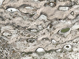 Picture of the day
Pribalkhashskiy sanctuary, Kazakhstan
#ImageOfTheDay Picture of the day
Pribalkhashskiy sanctuary, Kazakhstan
#ImageOfTheDay