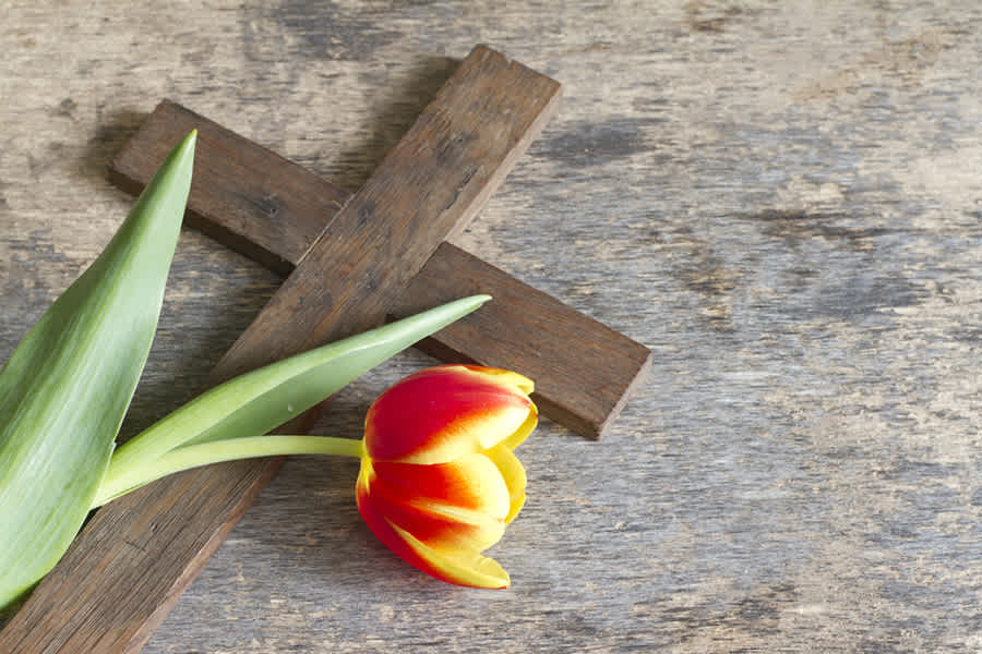 Rest in peace: Looking back at notable Catholics who passed away in 2025 #Catholic 
 
 Credit: udra11/Shutterstock

Dec 31, 2025 / 06:00 am (CNA).
The past year has seen several notable Catholics pass away — from public officials to the vicar of Christ himself.Here’s a rundown of some prominent Catholics around the world who left us in 2025:Pope Francis (Dec. 17, 1936 — April 21, 2025)The Holy Father, Pope Francis, passed away at 7:35 a.m. on Easter Monday, April 21, at his residence in the Vatican’s Casa Santa Marta. The 88-year-old pontiff led the Catholic Church for a little more than 12 years.The first Latin American pope in history as well as the first Jesuit pope, Francis led the Church through significant canonical and catechetical reforms, urging the faithful to reach out and minister to those on the margins of society while preaching the mercy of God.Upon his death he left the legacy of what Cardinal Kevin Farrell said was a life “dedicated to the service of God and his Church,” one that urged the faithful to “live the values of the Gospel with fidelity, courage, and universal love, especially for the poorest and most marginalized.”Pope Francis was succeeded in the chair of St. Peter by Pope Leo XIV on May 8.Mabel Landry Staton (Nov. 20, 1932 — Feb. 20, 2025)Mabel Landry Staton, a trailblazing athlete who briefly set an Olympic record at the 1952 Summer Olympics, died on Feb. 20 at age 92.Representing the United States at the Olympic games in Helsinki in 1952, Staton — known as “Dolly” after a nickname from her father — set a record in the long jump category at 19 feet 3.25 inches. Though the record only lasted for several minutes before New Zealand athlete Yvette Williams bested it, Staton would go on to win medals in the 1955 Pan American Games.The Philadelphia Inquirer reported that Staton served as a Eucharistic minister at St. Thomas More Church in Cherry Hill, New Jersey, as well as on the board of the Black Catholic Ministry of the Diocese of Camden.According to the Inquirer, Staton “could still outsprint some of the local high school boys in her 70s.”Alasdair MacIntyre (Jan. 12, 1929 — May 21, 2025)Alasdair MacIntyre, a towering figure in moral philosophy and a Catholic convert credited with reviving the discipline of virtue ethics, died on May 21 at age 96.His seminal 1981 work “After Virtue” reshaped contemporary moral and political philosophy, emphasizing virtue over utilitarian or deontological frameworks.Known by many as “the most important” modern Catholic philosopher, MacIntyre’s intellectual and spiritual journey spanned atheism, Marxism, Anglicanism, and ultimately Roman Catholicism.James Hitchcock (Feb. 13, 1938 — July 14, 2025)James Hitchcock — a noted historian of the Catholic Church, popular author, and longtime college professor — died on July 14 at age 87.Hitchcock was remembered by friends and colleagues as a man of prophetic insight who defended Church teaching and helped to make the Catholic intellectual tradition accessible for his students and readers.Hitchcock taught history at Saint Louis University from the late 1960s until 2013. Some of the most popular of the dozen books he wrote include his one-volume “History of the Catholic Church: From the Apostolic Age to the Third Millennium,” published in 2012 by Ignatius Press.Frank Caprio (Nov. 24, 1936 — Aug. 20, 2025)Frank Caprio, who served as a Providence, Rhode Island, municipal court judge for nearly 40 years and came to be known as “America’s nicest judge,” passed away on Aug. 20 from pancreatic cancer.Caprio gained worldwide fame for a lenient judicial style that blended justice, extreme empathy, and mercy when his courtroom was televised in a program called “Caught in Providence.”The program began in 1999 and went viral in 2017, achieving hundreds of millions of views since then. The show was nominated for a Daytime Emmy Award in 2021 and has a YouTube channel with nearly 3 million subscribers.Caprio told EWTN News in February that he always kept in mind something his father, a hardworking Italian immigrant with a fifth-grade education, had impressed upon him: “What might seem like a small fine to some was something that many couldn’t afford.”“Your case is dismissed” became Caprio’s signature phrase.Thomas A. Nelson (March 1, 1937 — Aug. 16, 2025)Thomas A. Nelson, the founder of TAN Books — a Catholic publishing house known for its books promoting traditional Catholicism in the post-Vatican II era — died Aug. 16 at age 88.Nelson, who had previously worked as a teacher, founded TAN Books and Publishers Inc. in Rockford, Illinois, in 1967 and an accompanying printing plant in 1978. In addition to being Nelson’s initials, TAN is an acronym for the Latin phrase “Tuum Adoramus Nomen” (“Let Us Adore Thy Name”).Under Nelson’s ownership, TAN became known for publishing orthodox Catholic books, including reprints of classic Catholic works on theology, Scripture, traditional devotions, the Traditional Latin Mass, and the lives of the saints as well as new titles on these subjects by contemporary authors.Katharine, Duchess of Kent (Feb. 22, 1933 — Sept. 4, 2025)The Duchess of Kent, who became the first senior British royal to be received into the Catholic Church since the 17th century, died on Sept. 4 at the age of 92.Renowned for her natural charm, compassion for the sick and downtrodden, and commitment to serving others, the duchess was a much-loved and hardworking British royal whose popularity was enhanced by her own personal suffering and self-effacing nature.She was received into the Church in January 1994 by Cardinal Basil Hume. Up until then, no senior royal had publicly been received into the Church since 1685.Katharine spoke favorably of the Church’s moral precepts. “I do love guidelines and the Catholic Church offers you guidelines,” she once told the BBC. “I have always wanted that in my life. I like to know what’s expected of me.”Sister Jean Dolores Schmidt (Aug. 21, 1919 — Oct. 9, 2025)Sister Jean Dolores Schmidt, the beloved Catholic nun who became known across the country at the age of 98 as the chaplain of the Loyola University Chicago men’s basketball team, died Oct. 9 at the age of 106.Sister Jean was born Dolores Bertha Schmidt on Aug. 21, 1919, to Joseph and Bertha Schmidt. She was raised in a devout Catholic home in San Francisco’s Castro District.In 1937, she joined the Sisters of Charity of the Blessed Virgin Mary and took the name Sister Jean Dolores. In 1991, she joined the staff at Loyola Chicago and three years later became part of the basketball team, first as an academic adviser before transitioning to chaplain.Sister Jean led the team in prayer before each game — praying for her players to be safe, for the referees to be fair, and for God’s assistance during the game.She also admitted to praying for the opposing team, though “not as hard.”Sister Mary Michael of the Eucharistic Heart of Jesus, PCPA (Feb. 25, 1931 — Nov. 10, 2025)Sister Mary Michael of the Eucharistic Heart of Jesus, PCPA, died on Nov. 10 at age 94 after roughly three-quarters of a century of religious life.Sister Mary Michael was the last of the original five nuns who, along with EWTN foundress Mother Angelica, began the Our Lady of the Angels Monastery in Irondale, Alabama.Born Evelyn Shinosky on Feb. 25, 1931, to Joseph and Helen Shinosky, she entered Sancta Clara Monastery in Canton, Ohio, on Aug. 15, 1951, and received the habit and her new name the following May.Her passing marked the end of an era at EWTN and at the monastery — one that saw both the launch of the global Catholic network and the expansion of the religious community to include the Shrine of the Most Blessed Sacrament of Our Lady of the Angels Monastery.Paul Badde (March 10, 1948 — Nov. 10, 2025)Paul Badde, author of many well-known books such as “Benedict Up Close,” “The Face of God,” and “The True Icon,” died on Nov. 10 at the age of 77 after a long illness. Badde was also a veteran contributor to EWTN and CNA Deutsch, CNA’s German-language news partner.Born in Schaag, Germany — a small village on the Lower Rhine — he studied philosophy and sociology in Freiburg as well as art history, history, and political science in Frankfurt. Before embarking on a journalistic career, Badde worked as a teacher for several years.A founding editor of Vatican Magazine, Paul and his wife, Ellen, had five children. Sister JoAnn Persch (June 27, 1934 — Nov. 14, 2025)Longtime immigrant rights advocate Sister JoAnn Persch died on Nov. 14 at age 91.Two weeks before her death, Persch attempted to bring Communion to detainees at the Broadview, Illinois, Immigration and Customs Enforcement (ICE) facility where for decades the Sisters of Mercy ministered to migrants and refugees. Officials denied her entry.Persch and Sister Pat Murphy were founding members of the Su Casa Catholic Worker House in Chicago, serving refugees from Central America who were survivors of war, torture, and political persecution.May the souls of the faithful departed, through the mercy of God, rest in peace.