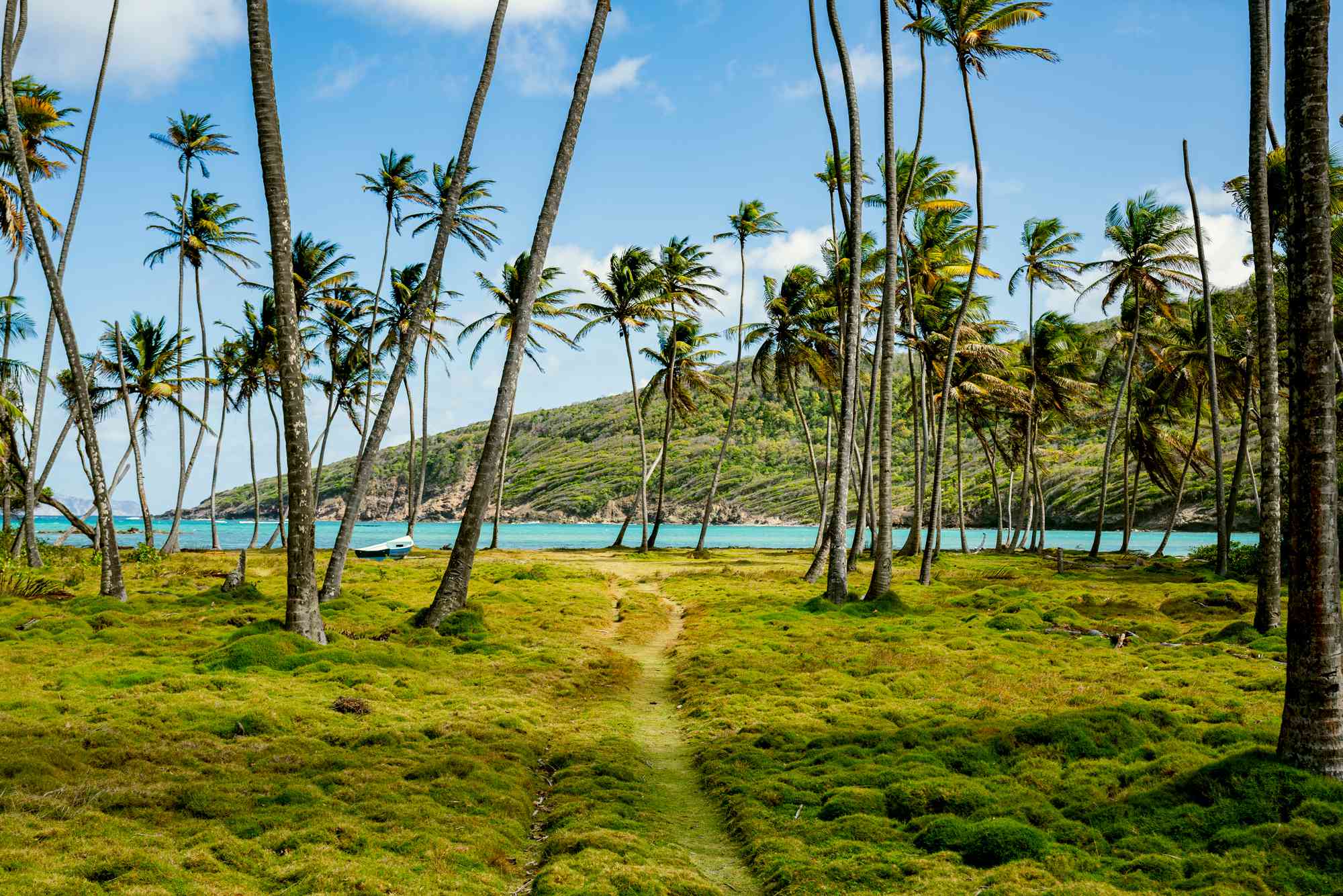 This Caribbean Island Chain Has Black-sand Beaches and an All-inclusive Resort With Overwater Bungalows #Travel Here’s how to plan the perfect trip to St. Vincent and the Grenadines.