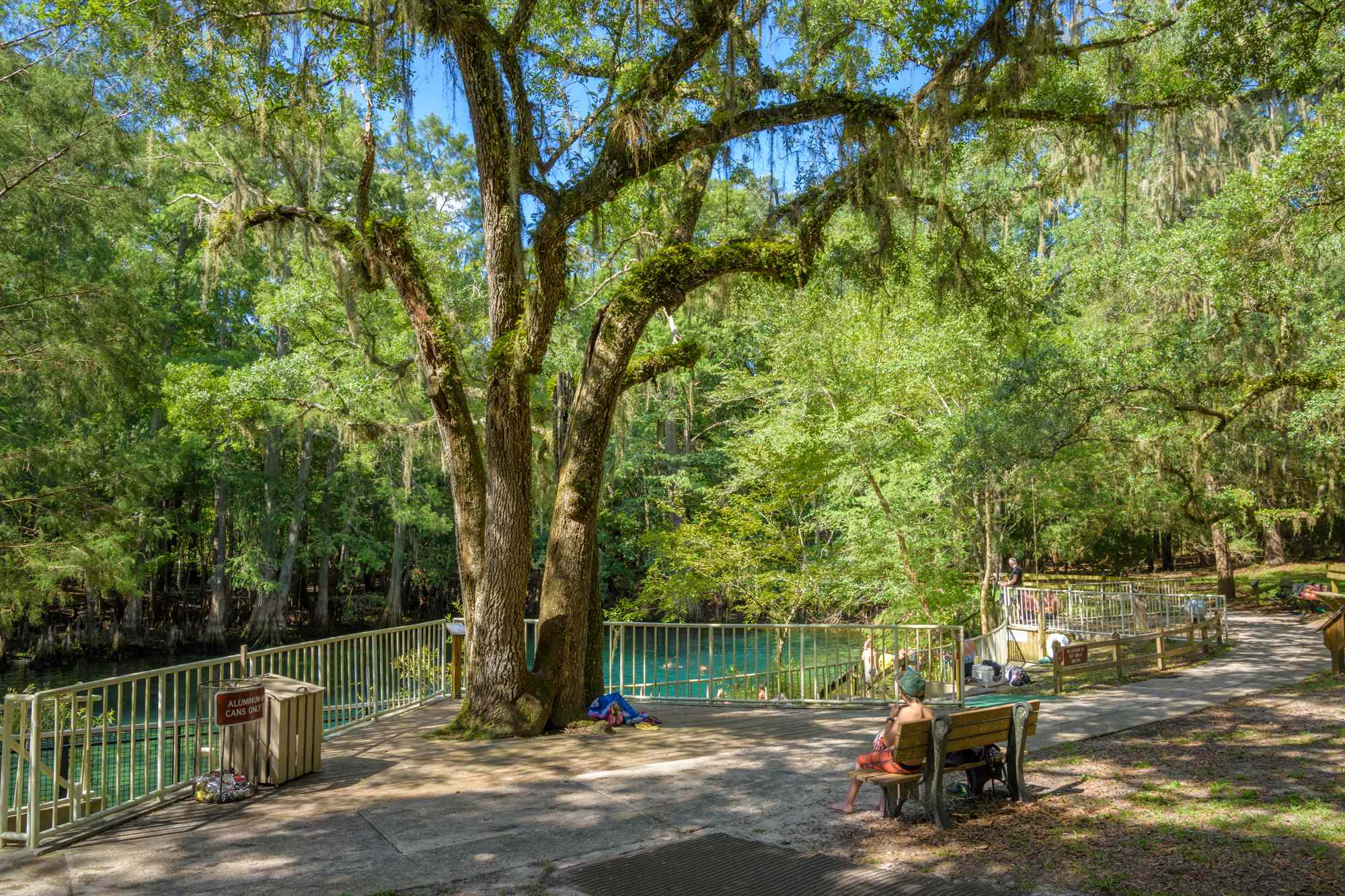 This Florida State Park Has an Aquamarine Natural Spring, a Beautiful Cypress Forest, and Tons of Amazing Wildlife #Travel A first-magnitude spring, towering cypress swamps, and wildlife-rich forests shape this serene North Florida escape.