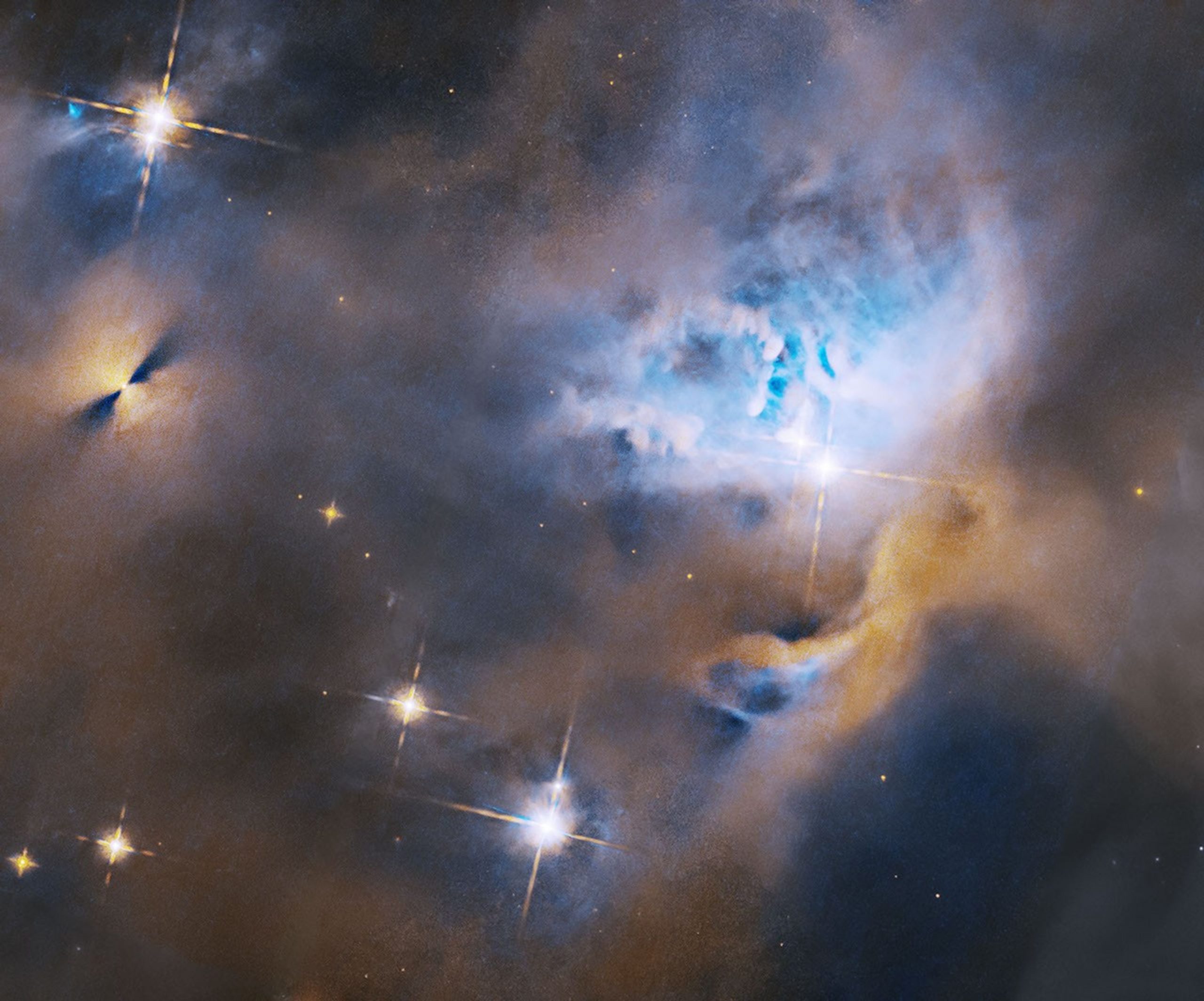 Hubble Nets Menagerie of Young Stellar Objects – A bright reflection nebula shares the stage with a protostar and planet-forming disk in this Hubble image.