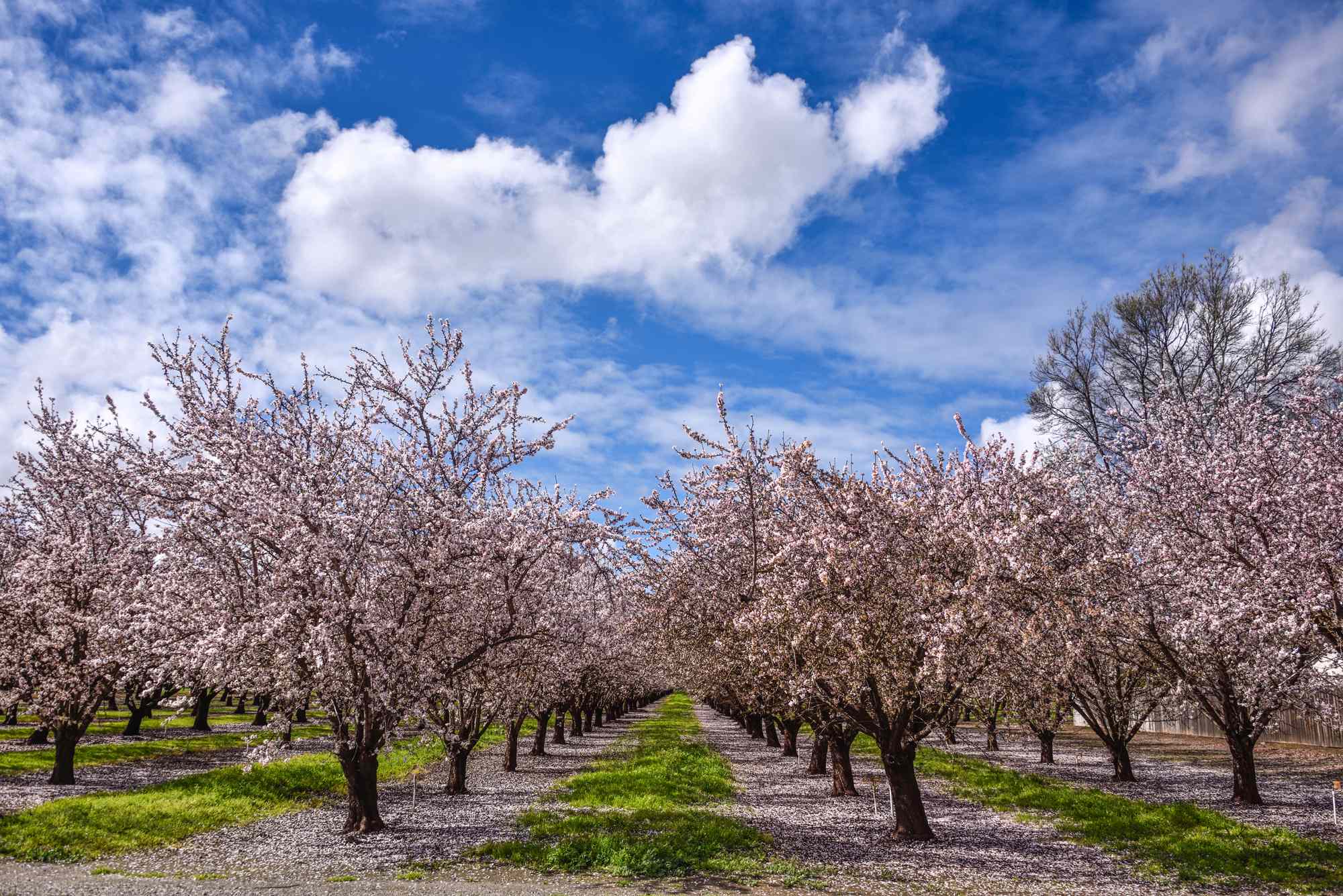 This 365-mile Train Route Is One of the Prettiest in California—With Charming Small Towns and Access to 4 National Parks #Travel This may be one of the most exciting ways to see the Golden State.